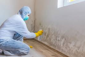 Why You Should Choose Our Mold Remediation Services in Elkhorn City, KY